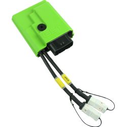 RX1 PRO BASIC Kawasaki 250 KX 2023-24